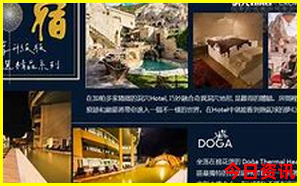 七月八月种什么菜合适